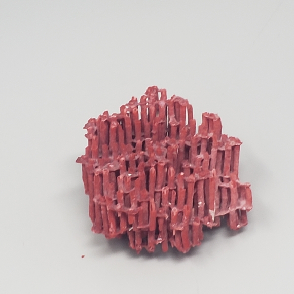 Natural Red Coral Reef - Picture 8 of 8